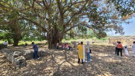 Taxila15.jpg Taxila15.jpg