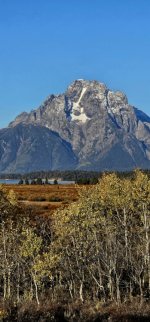 20240922_080832_copy_349x747.jpg 20240922_080832_copy_349x747.jpg