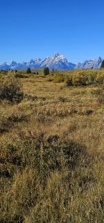 20240922_095343_copy_349x747.jpg 20240922_095343_copy_349x747.jpg