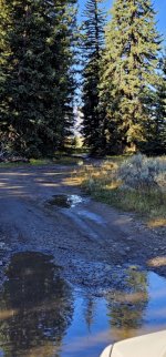 20240922_094850_copy_349x747.jpg 20240922_094850_copy_349x747.jpg