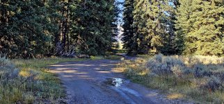 20240922_094843_copy_1600x747.jpg 20240922_094843_copy_1600x747.jpg