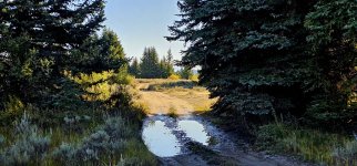 20240922_094810_copy_1600x747.jpg 20240922_094810_copy_1600x747.jpg