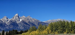 20240922_120529_copy_1600x747.jpg 20240922_120529_copy_1600x747.jpg