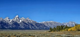 20240922_120350_copy_1600x747.jpg 20240922_120350_copy_1600x747.jpg