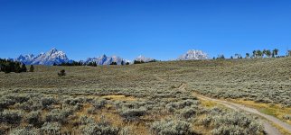 20240922_095912_copy_1600x747.jpg 20240922_095912_copy_1600x747.jpg