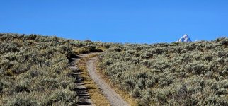 20240922_095822_copy_1600x747.jpg 20240922_095822_copy_1600x747.jpg