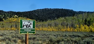 20240922_120927_copy_1600x747.jpg 20240922_120927_copy_1600x747.jpg