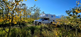 20240922_172717_copy_1600x747.jpg 20240922_172717_copy_1600x747.jpg