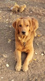 20201006_174753_copy_1600x2844.jpg 20201006_174753_copy_1600x2844.jpg