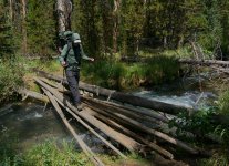 P1100073BX small.jpg