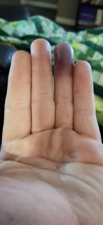 20241006_182755.jpg 20241006_182755.jpg