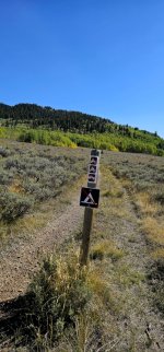 20240922_145631_copy_349x747.jpg 20240922_145631_copy_349x747.jpg