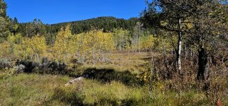 20240922_150918_copy_1600x747.jpg 20240922_150918_copy_1600x747.jpg