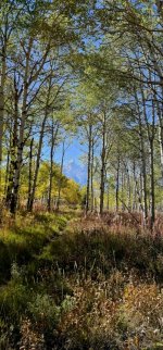 20240922_150740_copy_349x747.jpg 20240922_150740_copy_349x747.jpg