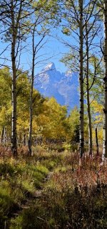 20240922_150755_copy_349x747.jpg 20240922_150755_copy_349x747.jpg