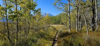 20240922_150147_copy_1600x747.jpg 20240922_150147_copy_1600x747.jpg