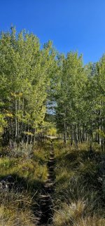 20240922_145946_copy_349x747.jpg 20240922_145946_copy_349x747.jpg