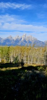 20240923_094856_copy_349x747.jpg 20240923_094856_copy_349x747.jpg