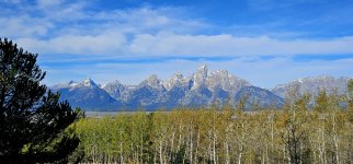 20240923_094844_copy_1600x747.jpg 20240923_094844_copy_1600x747.jpg