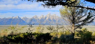 20240923_094647_copy_1600x747.jpg 20240923_094647_copy_1600x747.jpg