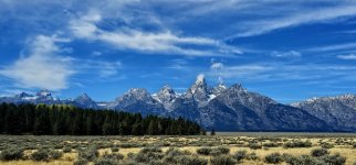 20240923_124512_copy_1600x747.jpg 20240923_124512_copy_1600x747.jpg