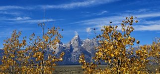 20240923_130628_copy_1600x747.jpg 20240923_130628_copy_1600x747.jpg