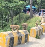 Naran36.jpg Naran36.jpg