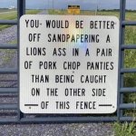 1728855921701.jpeg 1728855921701.jpeg