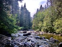 IMG_4026.jpeg IMG_4026.jpeg