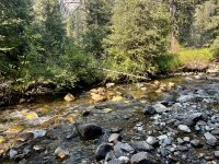 IMG_4029.jpeg IMG_4029.jpeg