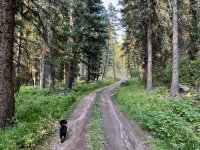 IMG_4014.jpeg IMG_4014.jpeg