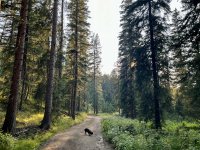 IMG_4012.jpeg IMG_4012.jpeg