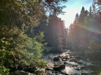 IMG_4004.jpeg IMG_4004.jpeg