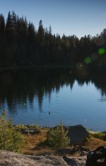 P1110005BX small.jpg