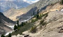 saif15.jpg saif15.jpg