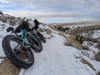 fatbikes-1.jpg