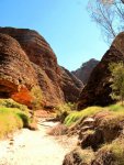 (bungles) bee hive domes and cathedral gorge (11).jpg (bungles) bee hive domes and cathedral gorge (11).jpg