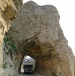 Needles 1.jpg Needles 1.jpg