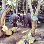 ImageUploadedByTapatalk1344551237.606281.jpg ImageUploadedByTapatalk1344551237.606281.jpg