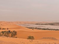 IMG_7506.jpg IMG_7506.jpg