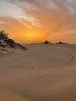 IMG_7516.jpg IMG_7516.jpg