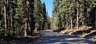 20241008_131307_copy_1600x747.jpg 20241008_131307_copy_1600x747.jpg