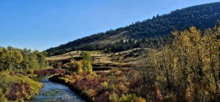 20241008_103709_copy_1600x747.jpg 20241008_103709_copy_1600x747.jpg