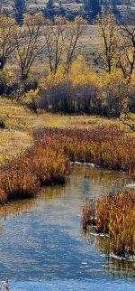 20241008_104342_copy_349x747.jpg 20241008_104342_copy_349x747.jpg