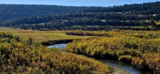 20241008_103216_copy_1600x747.jpg 20241008_103216_copy_1600x747.jpg