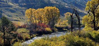 20241008_103909_copy_1600x747.jpg 20241008_103909_copy_1600x747.jpg