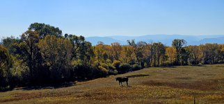 20241008_105703_copy_1600x747.jpg 20241008_105703_copy_1600x747.jpg