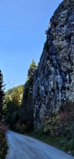 20241008_111252_copy_349x747.jpg 20241008_111252_copy_349x747.jpg