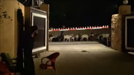 besham16.jpg besham16.jpg