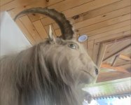 hunza7.jpg hunza7.jpg